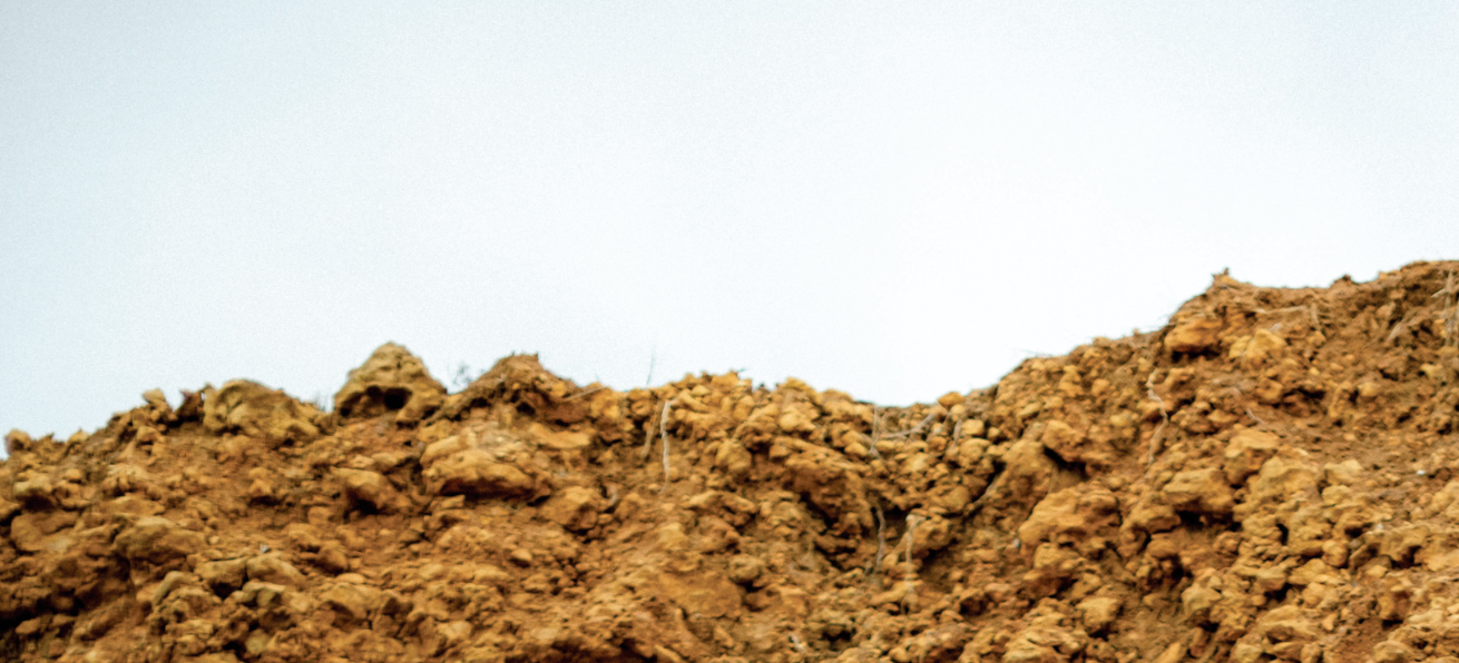 We are Carbon Neutral